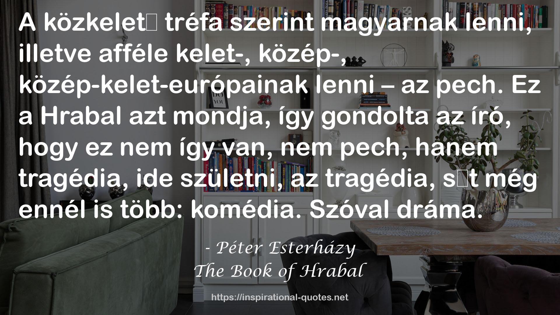 The Book of Hrabal QUOTES