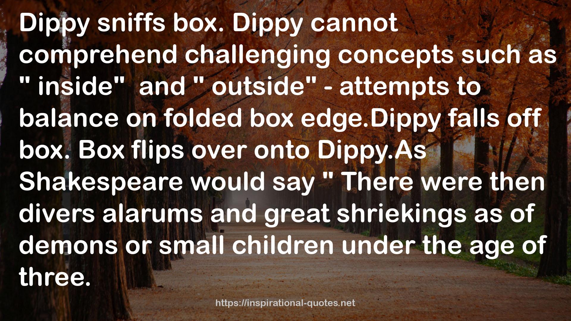 Dippy  QUOTES