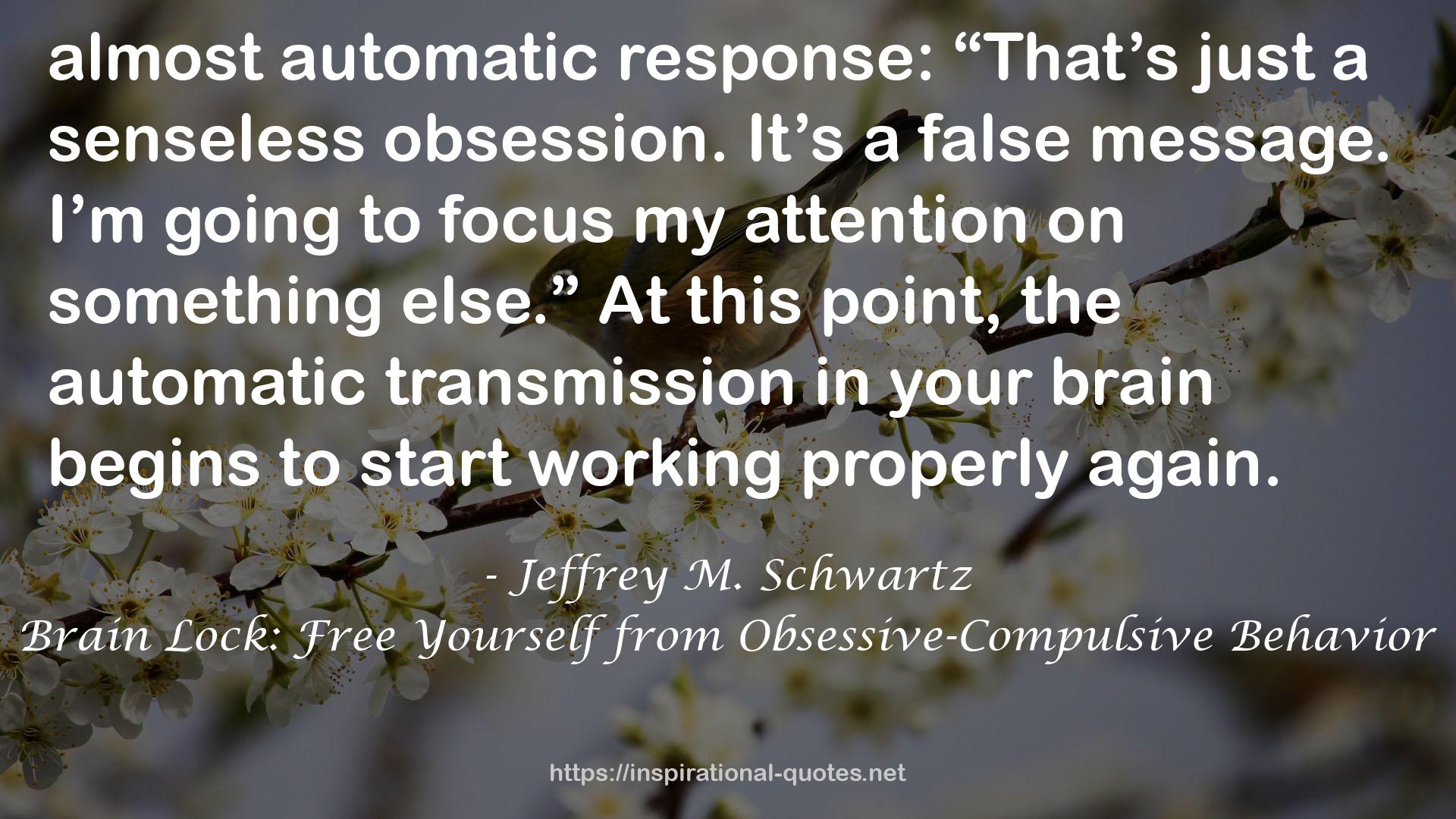 Brain Lock: Free Yourself from Obsessive-Compulsive Behavior QUOTES
