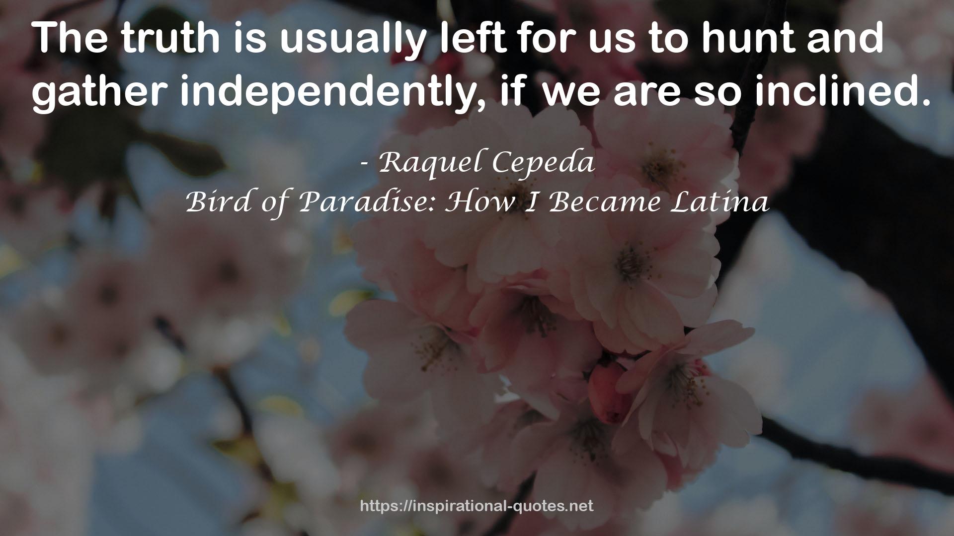 Bird of Paradise: How I Became Latina QUOTES