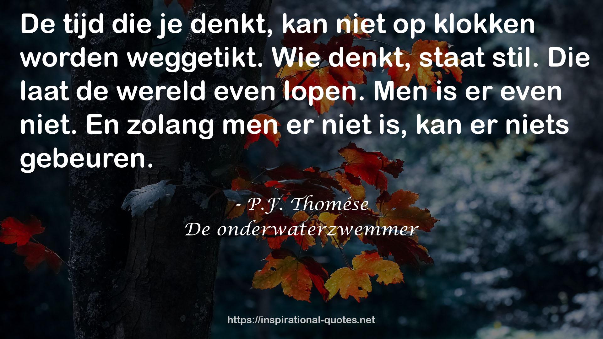 De onderwaterzwemmer QUOTES