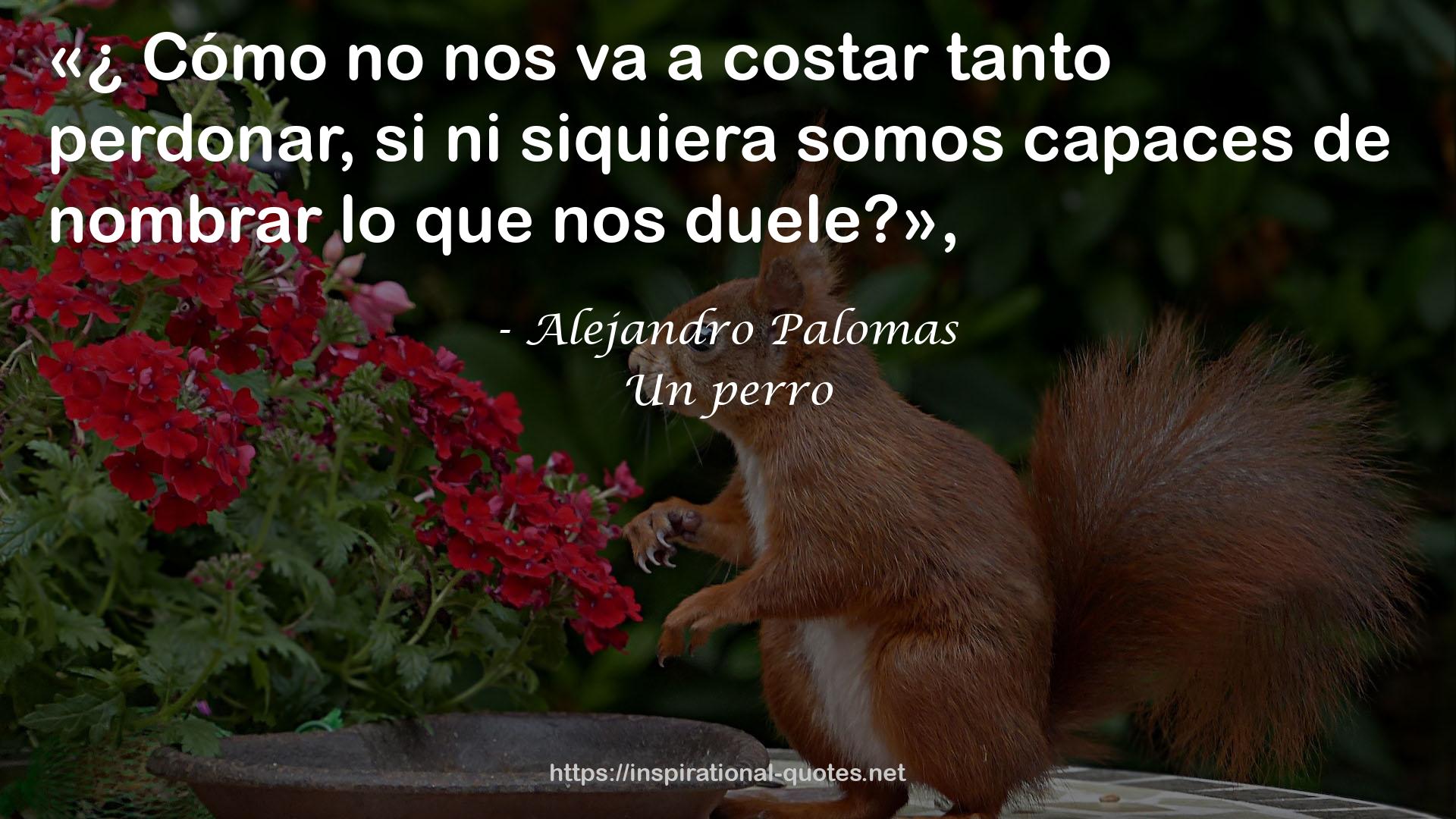 Un perro QUOTES