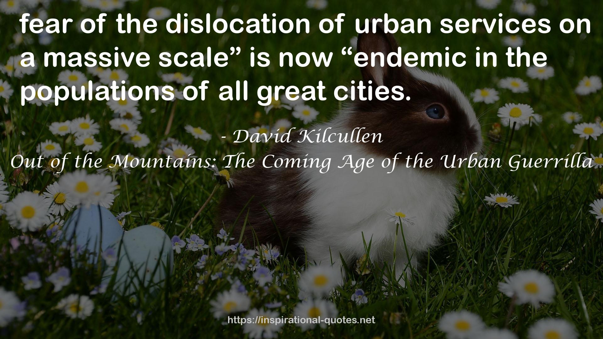 Out of the Mountains: The Coming Age of the Urban Guerrilla QUOTES