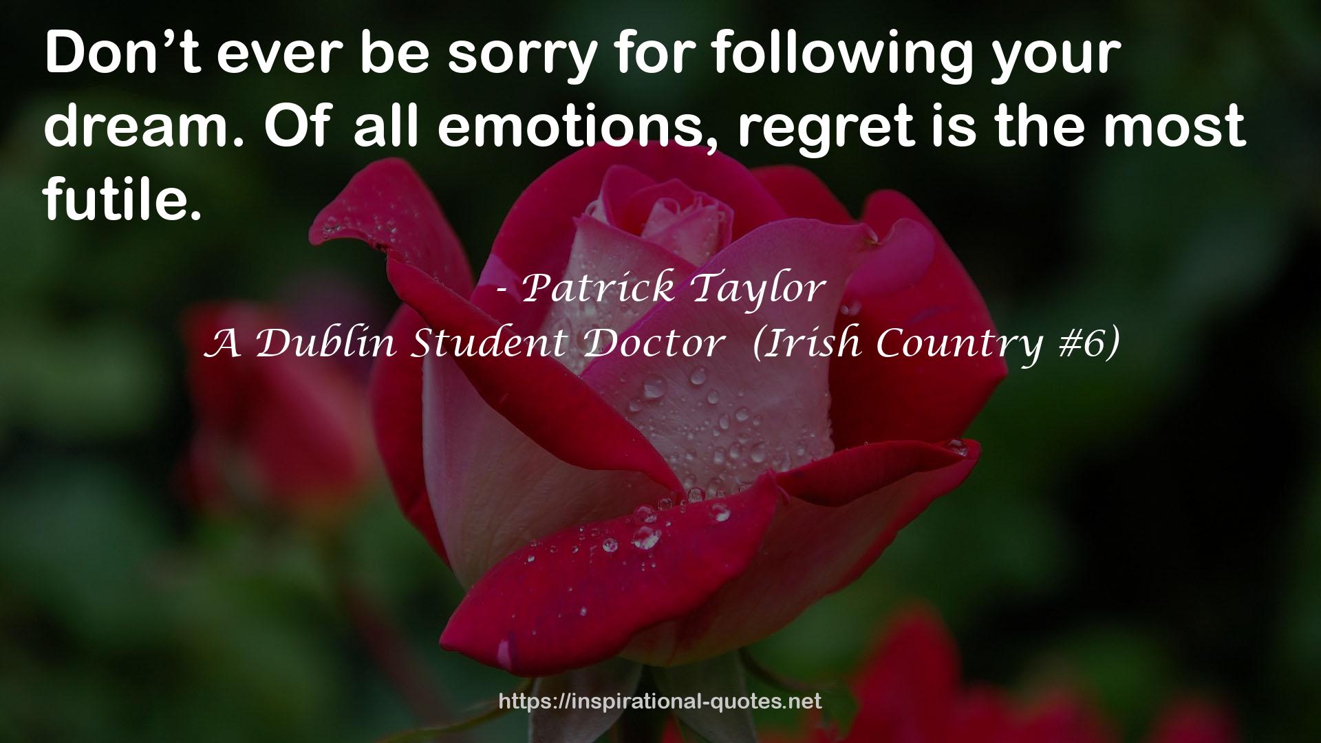 A Dublin Student Doctor  (Irish Country #6) QUOTES