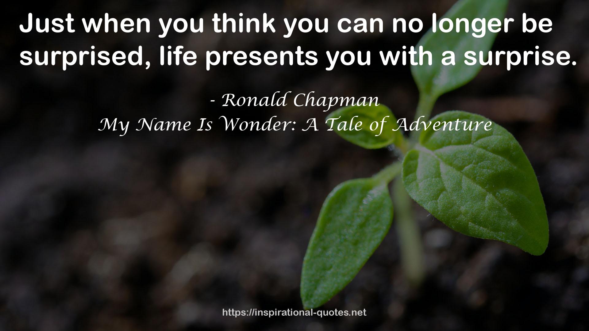 My Name Is Wonder: A Tale of Adventure QUOTES