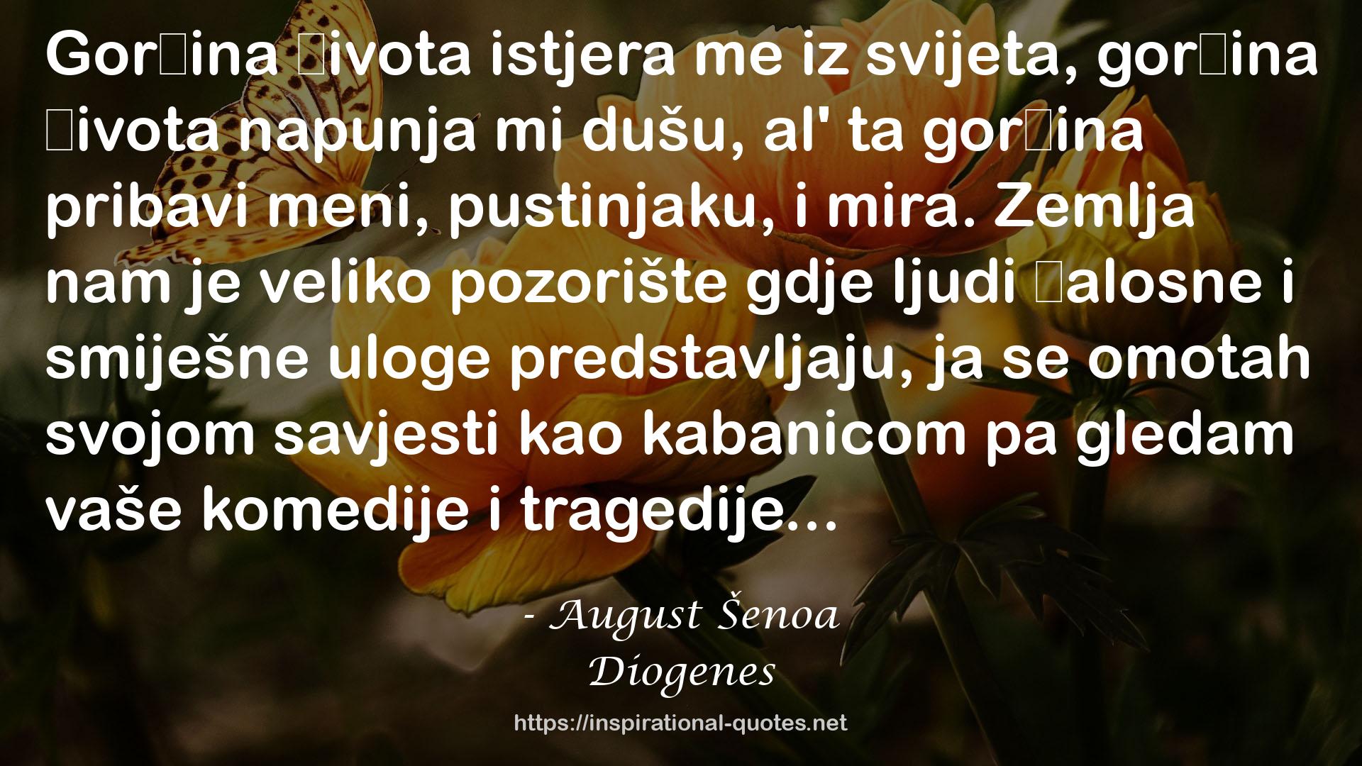 Diogenes QUOTES