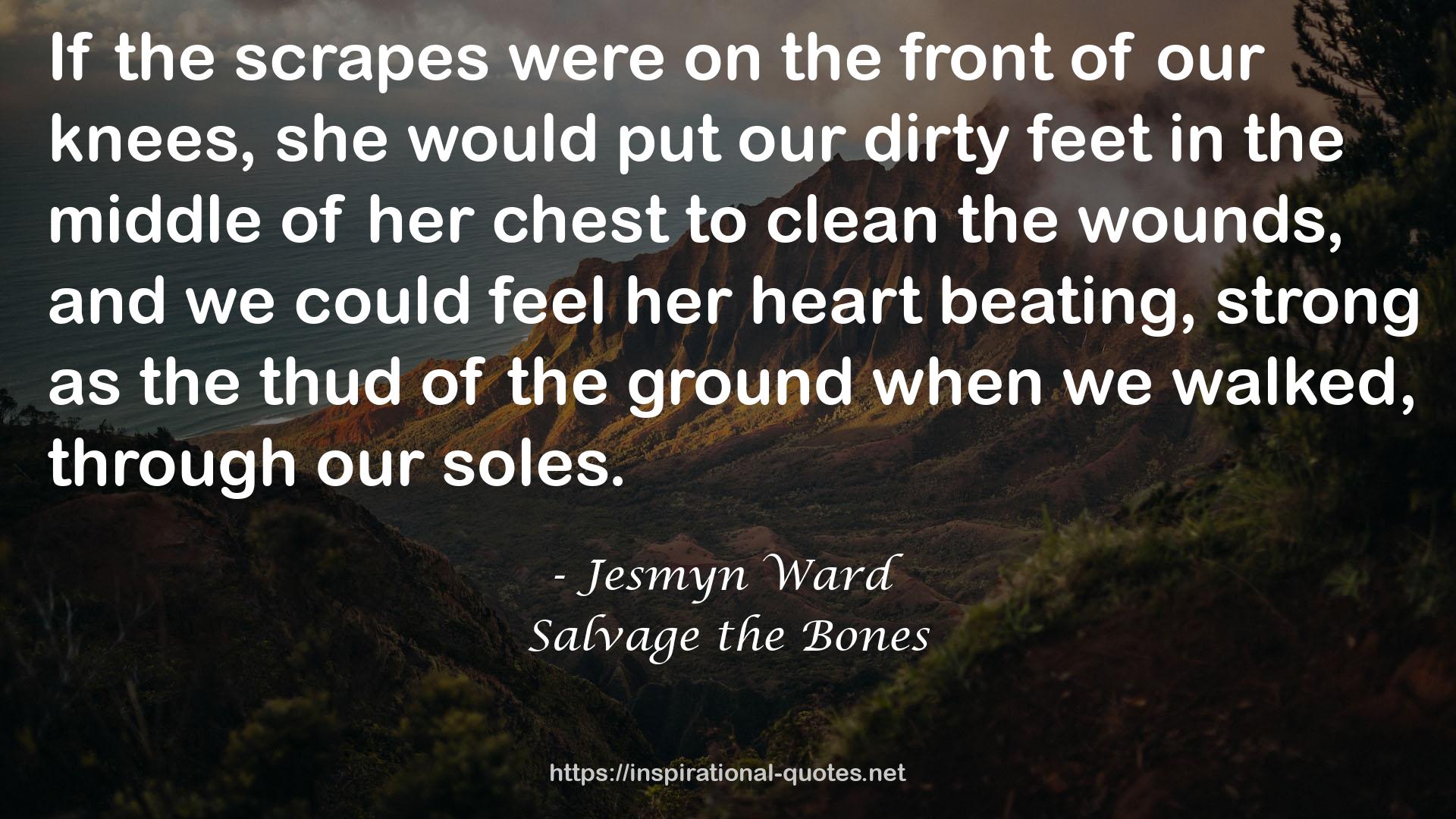 Salvage the Bones QUOTES