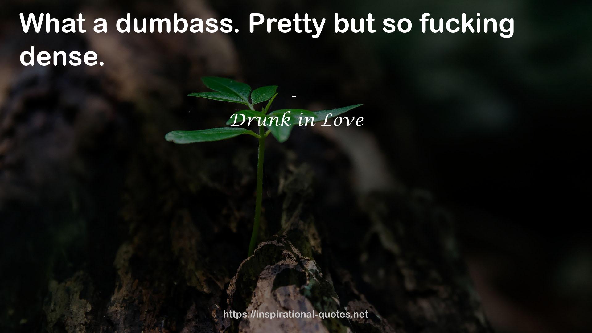Drunk in Love QUOTES