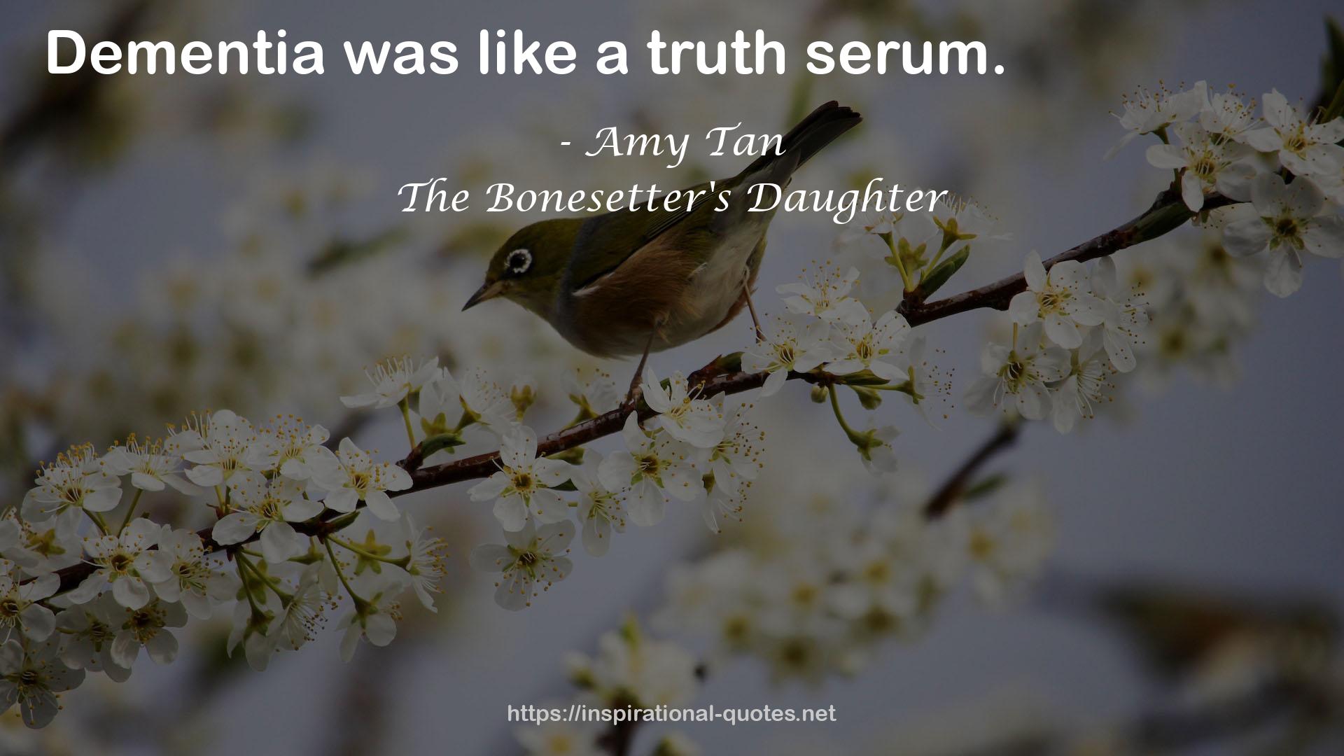 The Bonesetter's Daughter QUOTES