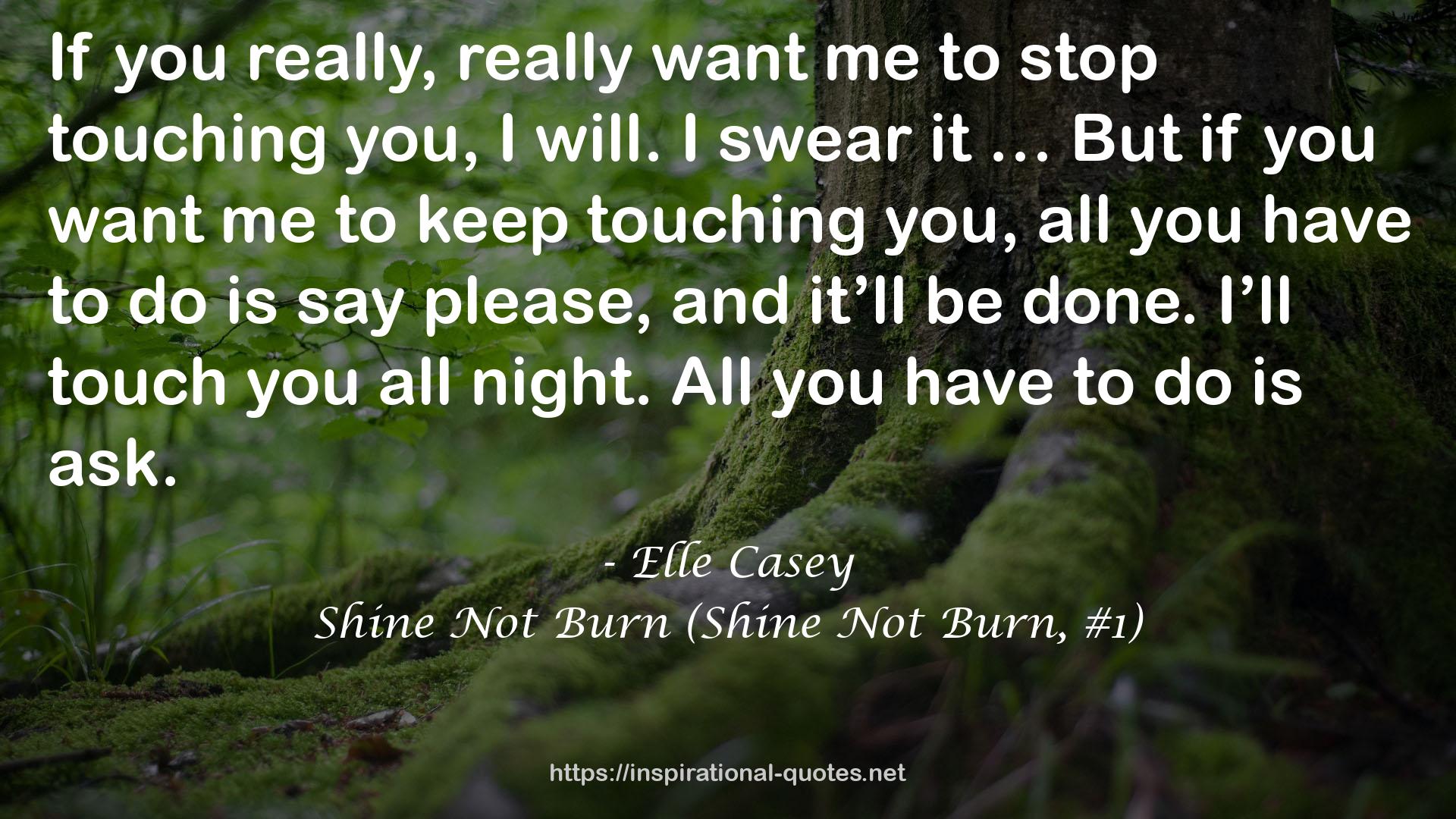 Shine Not Burn (Shine Not Burn, #1) QUOTES