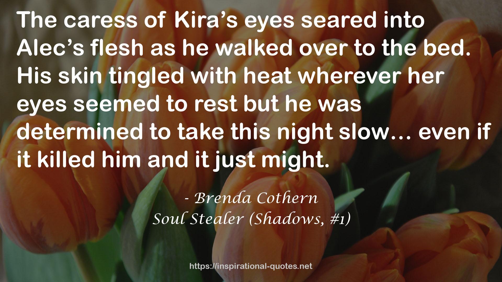 Soul Stealer (Shadows, #1) QUOTES