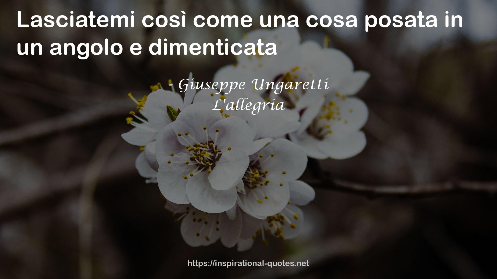 L'allegria QUOTES