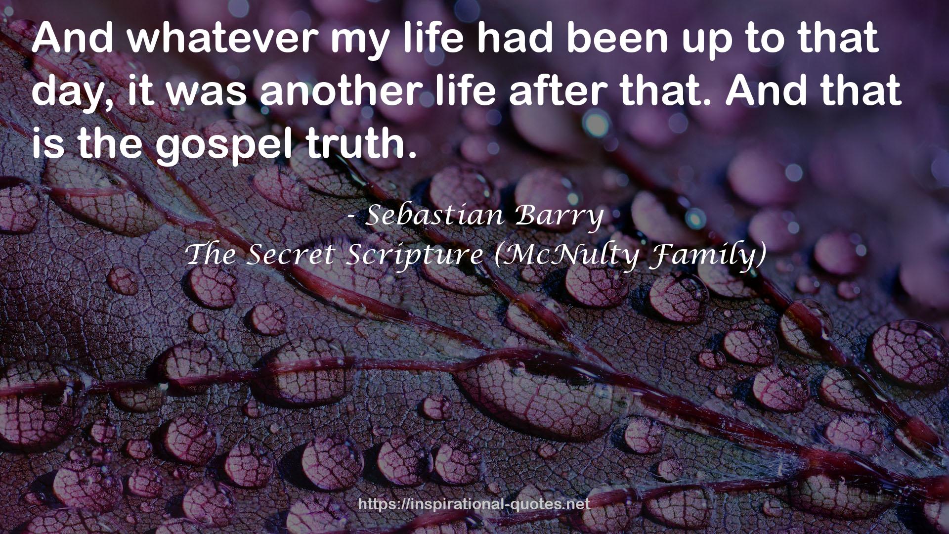 The Secret Scripture (McNulty Family) QUOTES