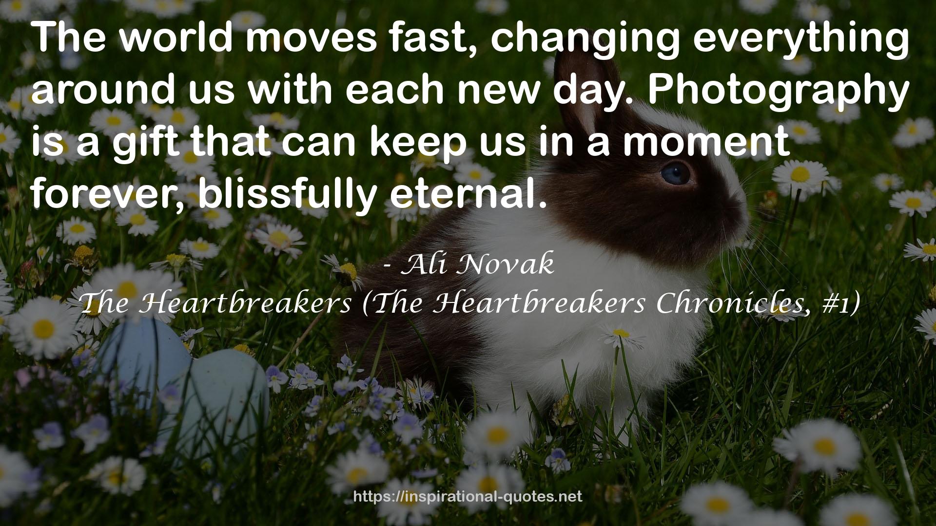 The Heartbreakers (The Heartbreakers Chronicles, #1) QUOTES
