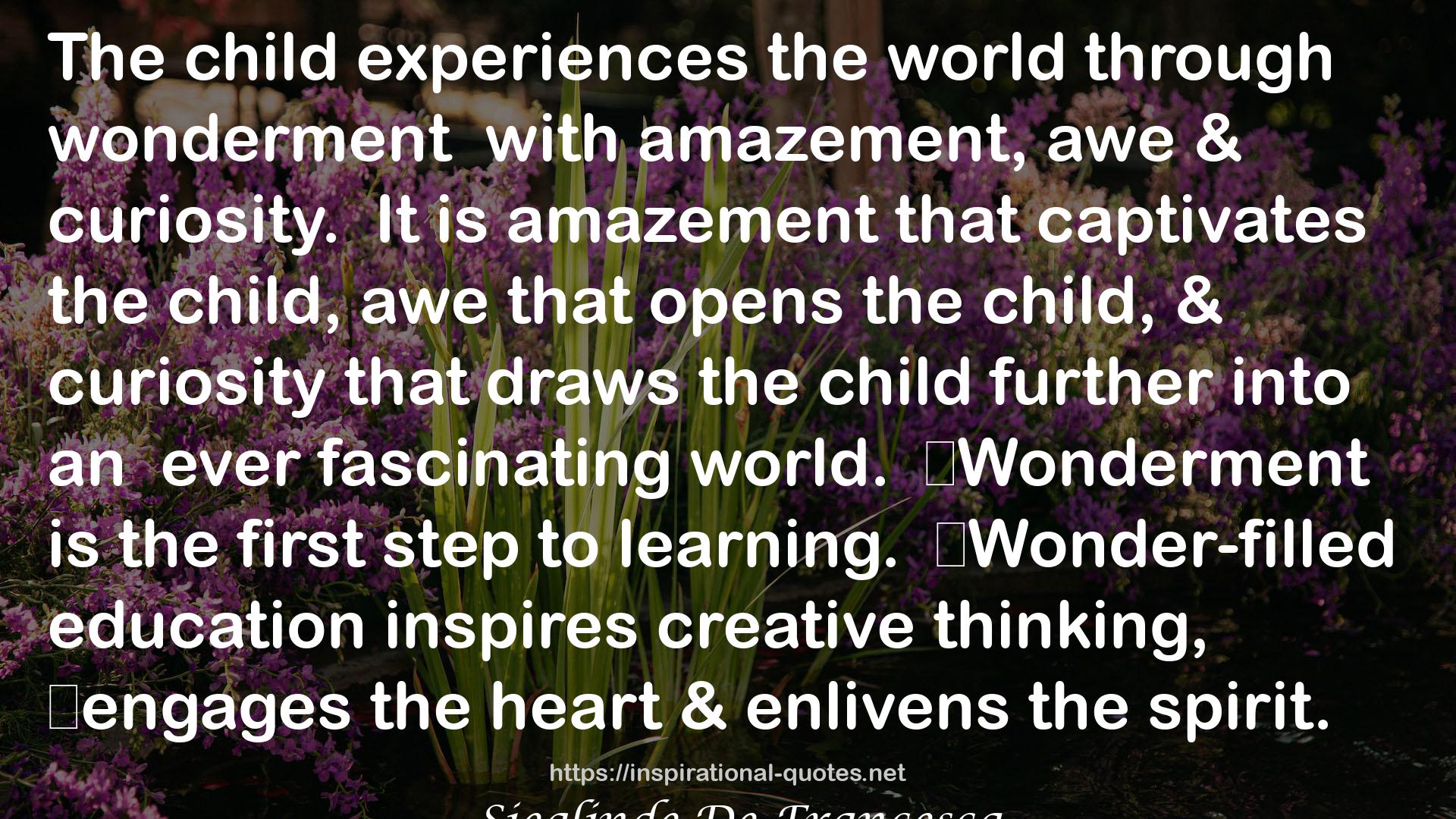 world.​Wonderment  QUOTES