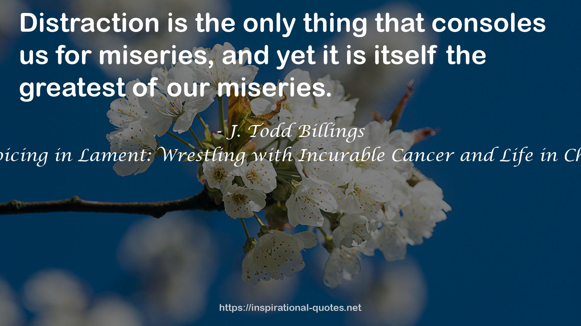 Rejoicing in Lament: Wrestling with Incurable Cancer and Life in Christ QUOTES