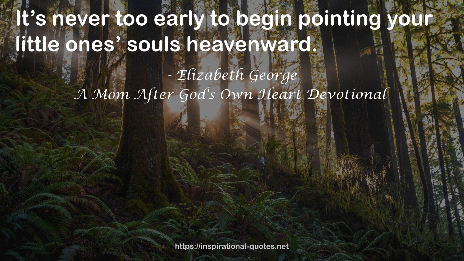 A Mom After God's Own Heart Devotional QUOTES