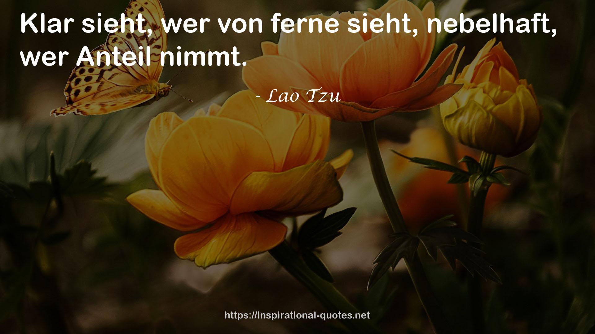 wer  QUOTES