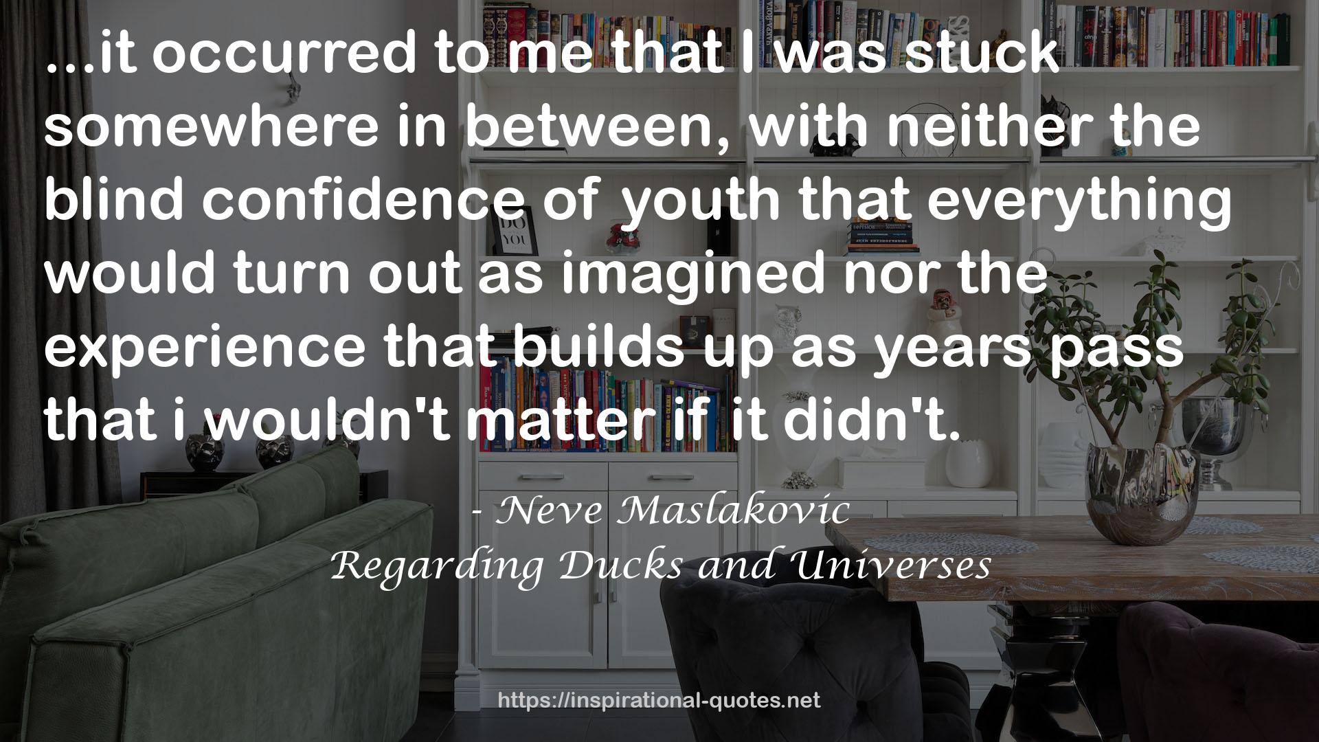 Regarding Ducks and Universes QUOTES