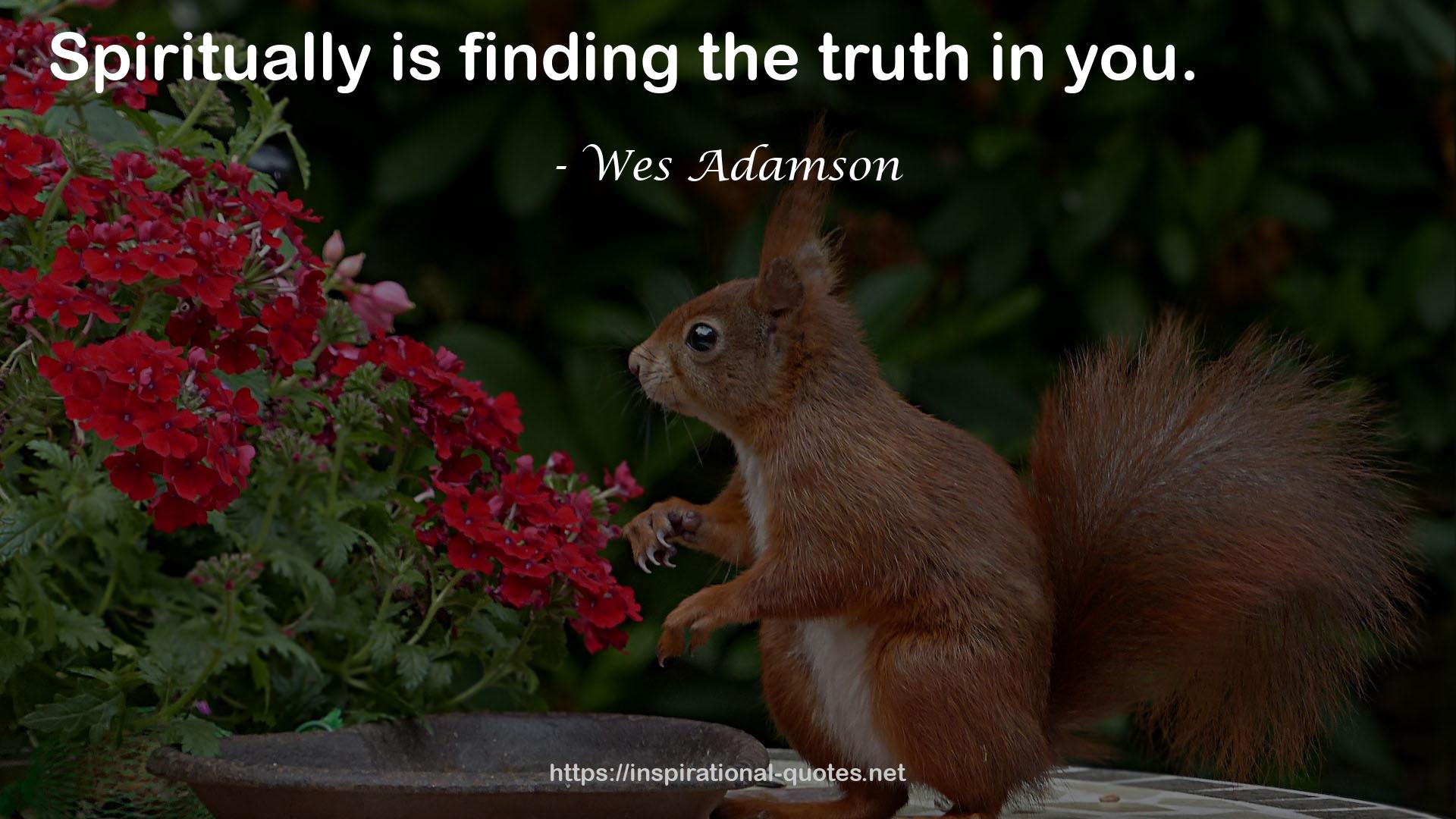 Wes Adamson QUOTES