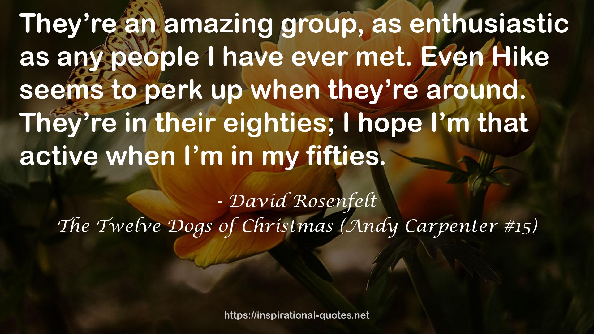 The Twelve Dogs of Christmas (Andy Carpenter #15) QUOTES