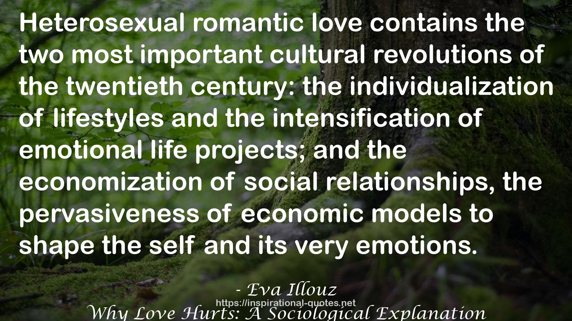 Why Love Hurts: A Sociological Explanation QUOTES