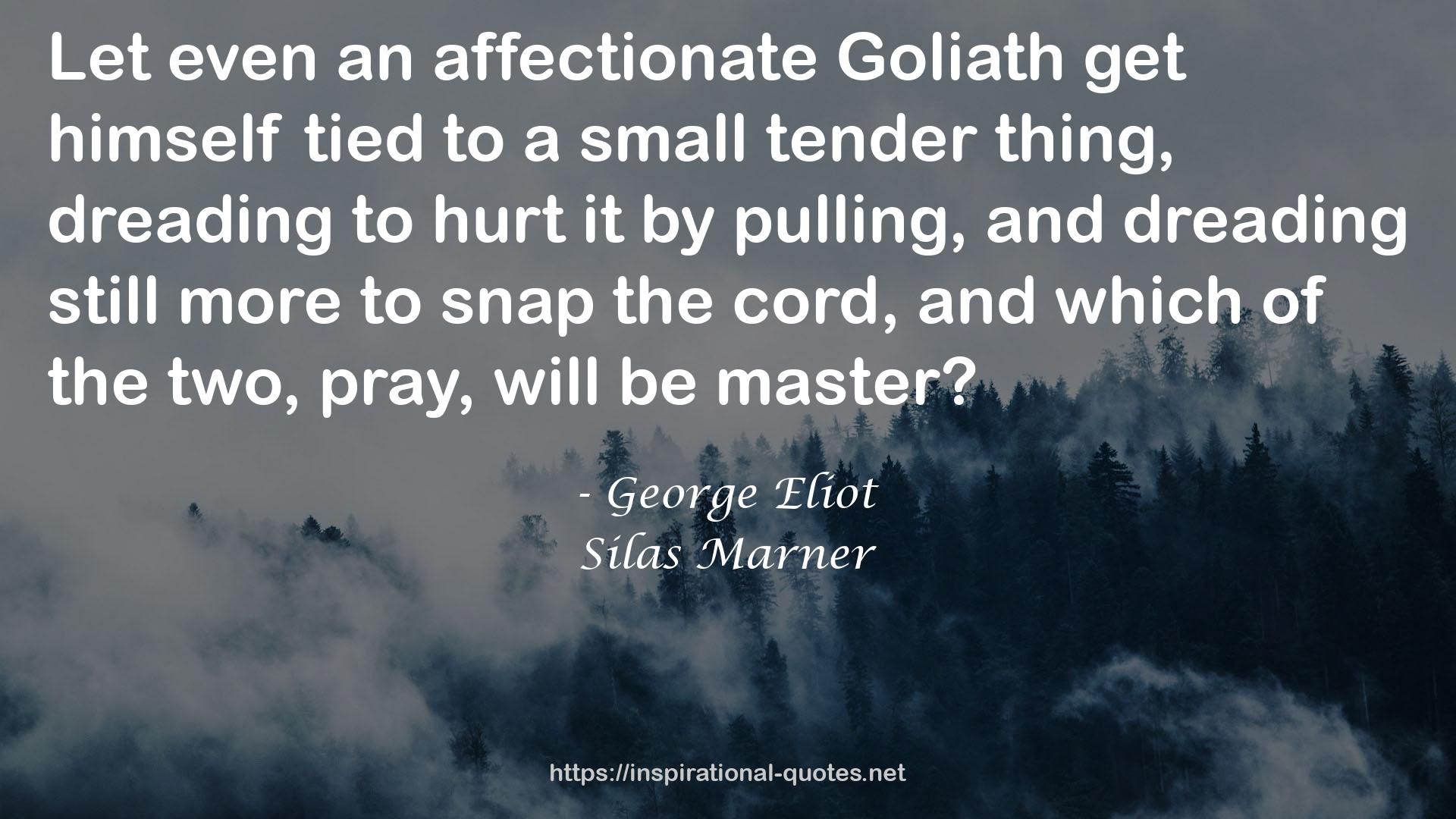 even an affectionate Goliath  QUOTES