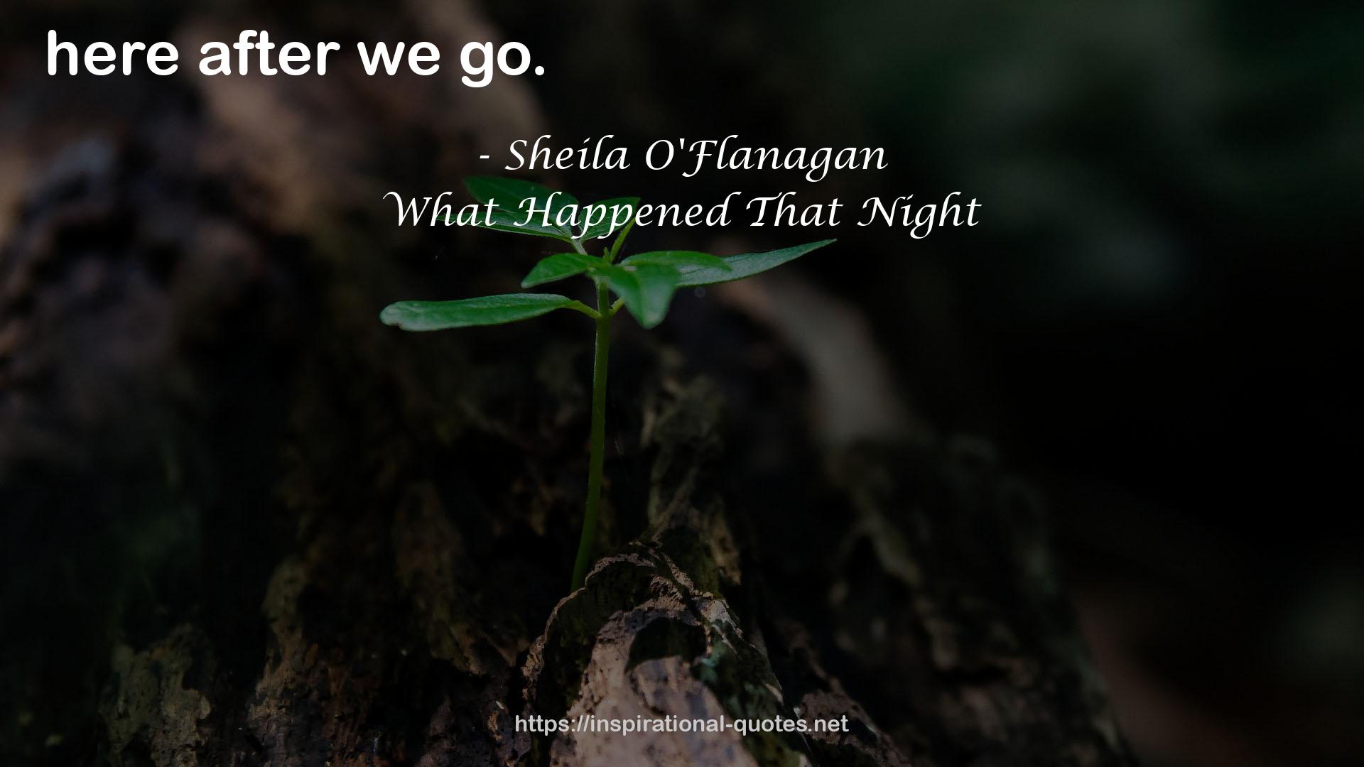What Happened That Night QUOTES