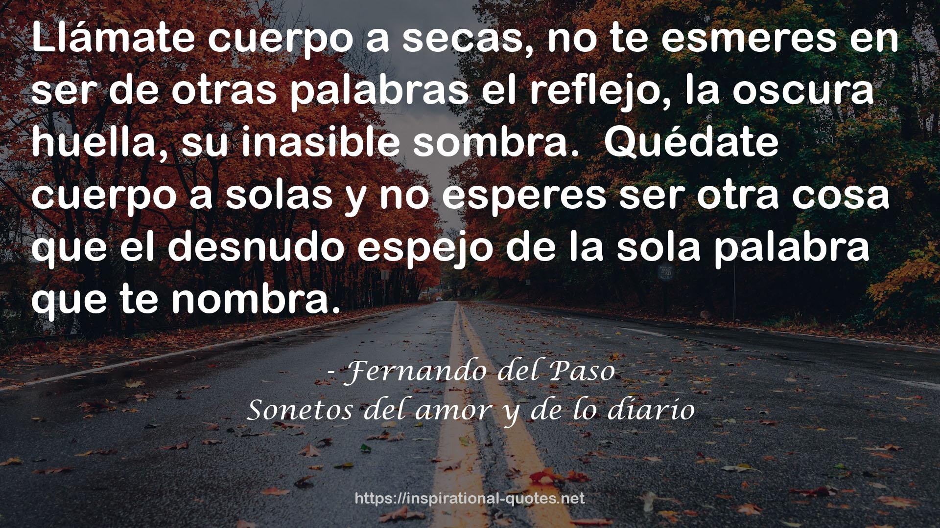 Sonetos del amor y de lo diario QUOTES