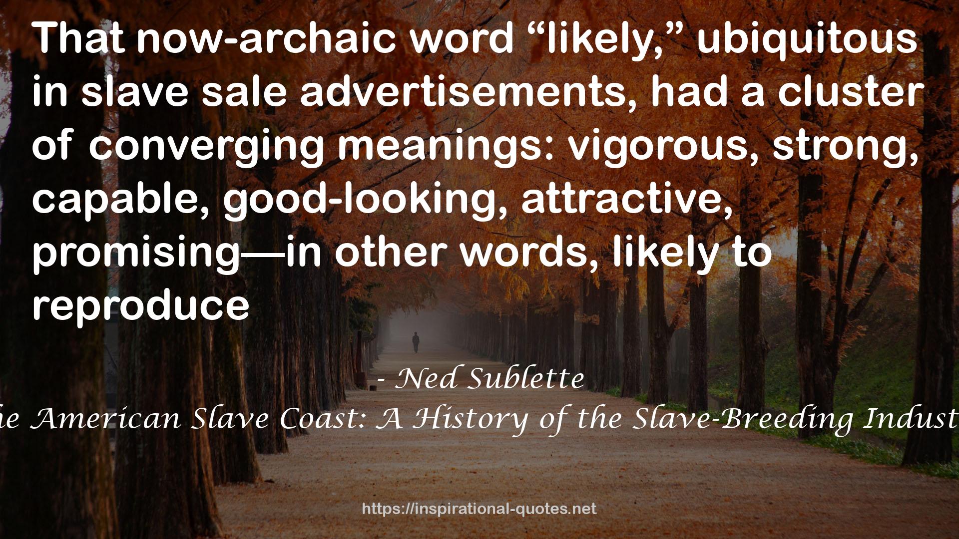 Ned Sublette QUOTES