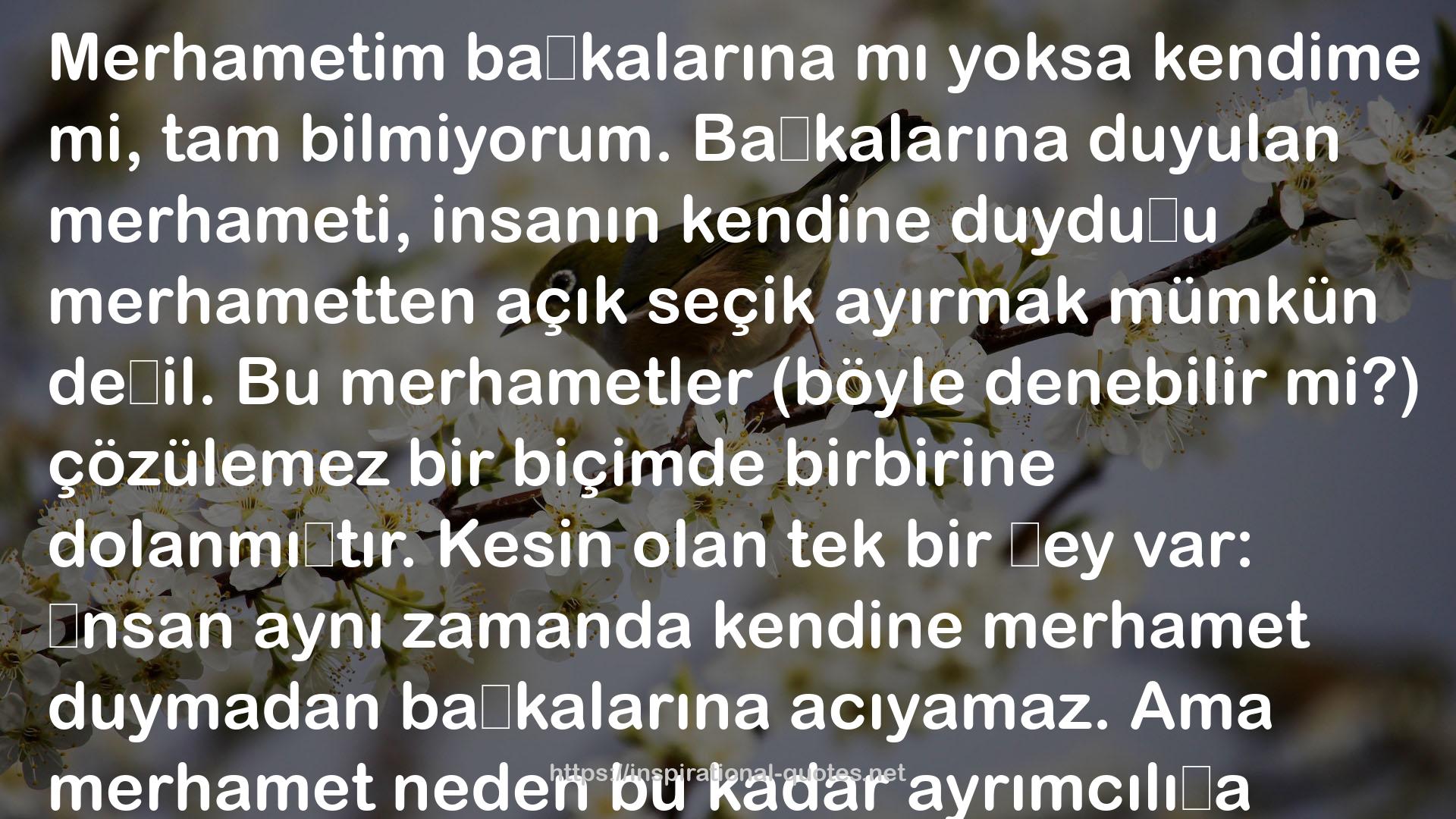 Aşk Aptallığı QUOTES