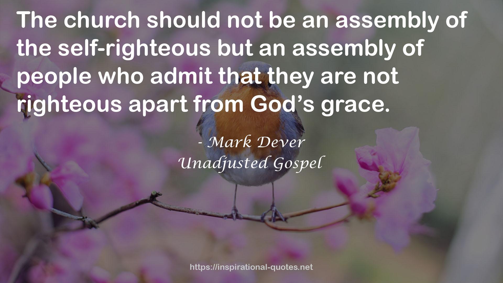 Unadjusted Gospel QUOTES