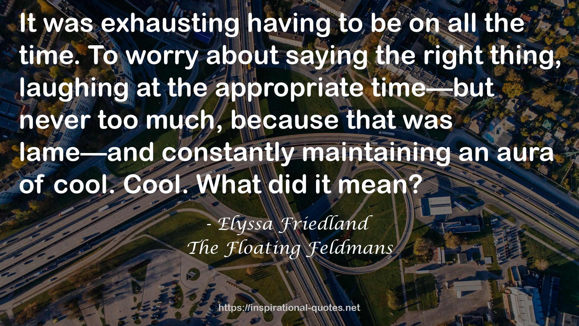 The Floating Feldmans QUOTES