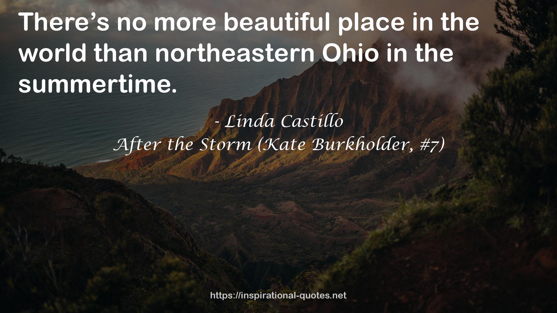 After the Storm (Kate Burkholder, #7) QUOTES