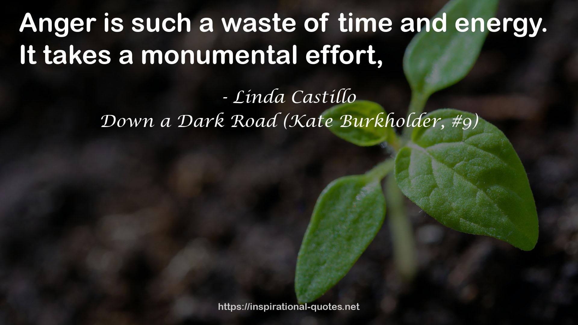 Down a Dark Road (Kate Burkholder, #9) QUOTES