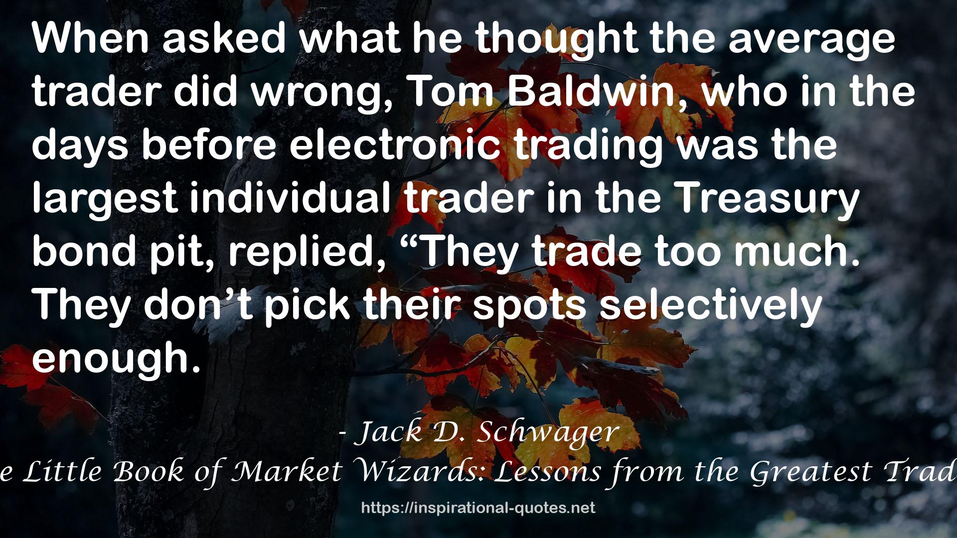 The Little Book of Market Wizards: Lessons from the Greatest Traders QUOTES