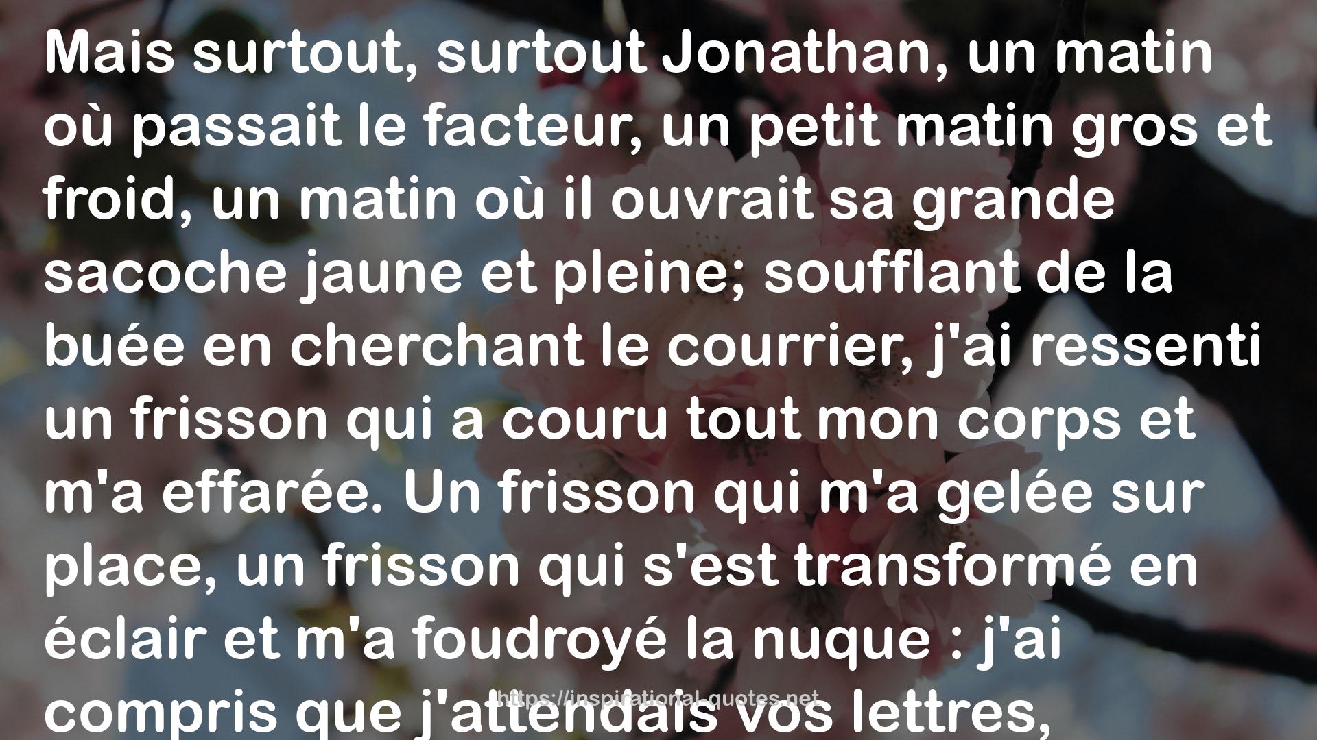 Un homme à distance QUOTES