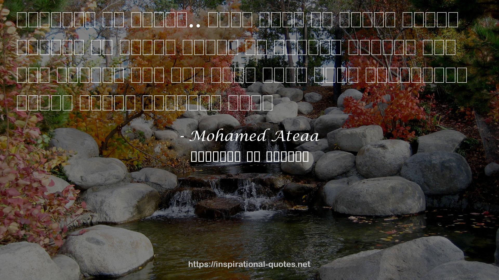 Mohamed Ateaa QUOTES