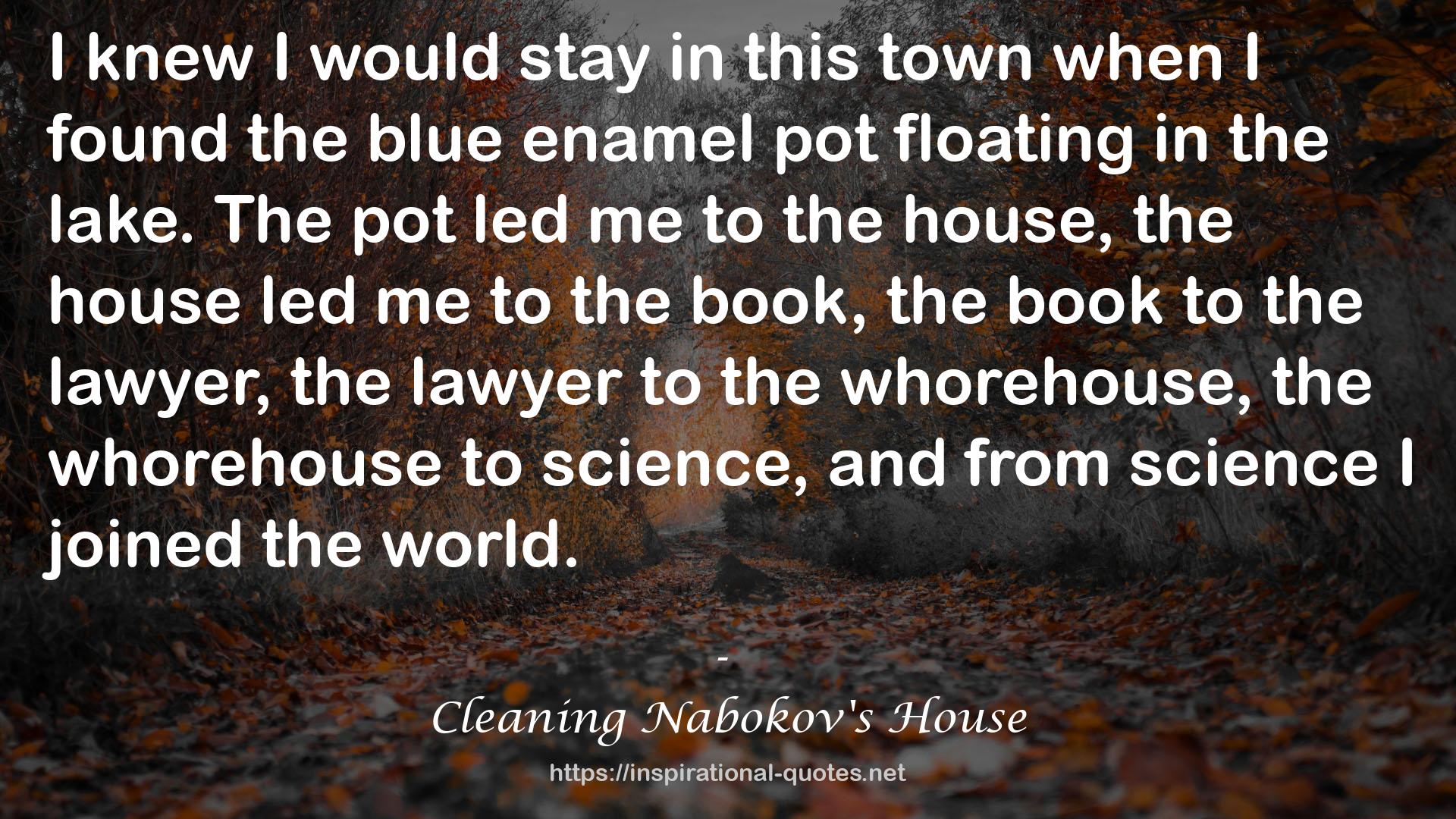Cleaning Nabokov's House QUOTES