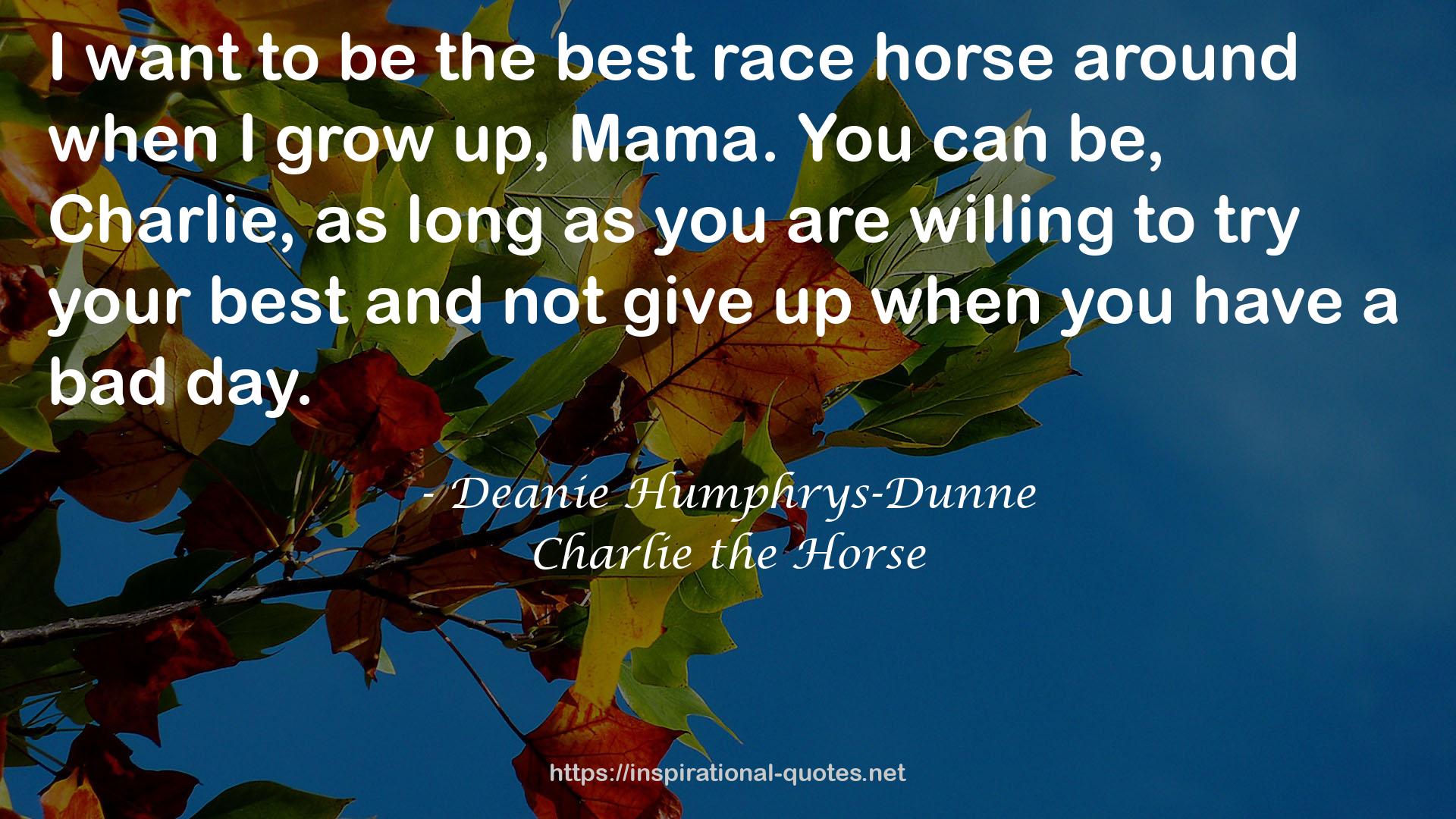 the best race horse  QUOTES