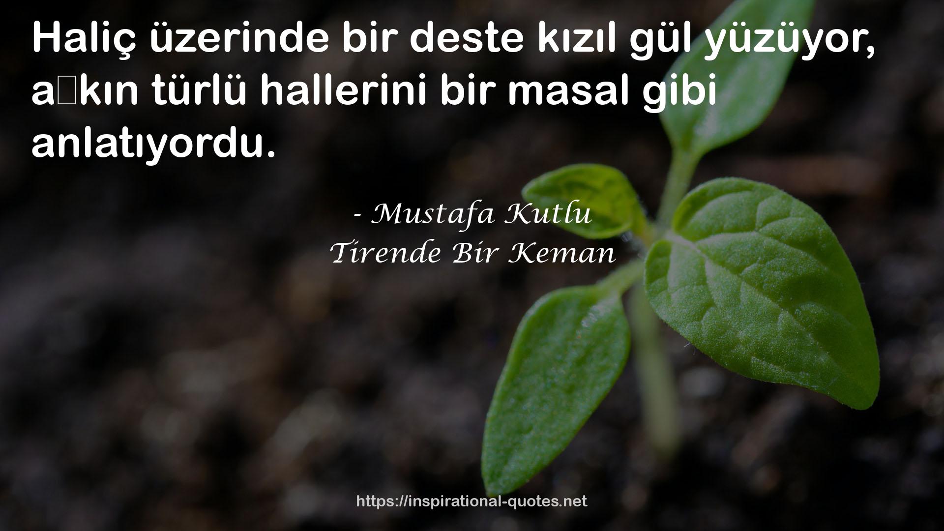 Tirende Bir Keman QUOTES