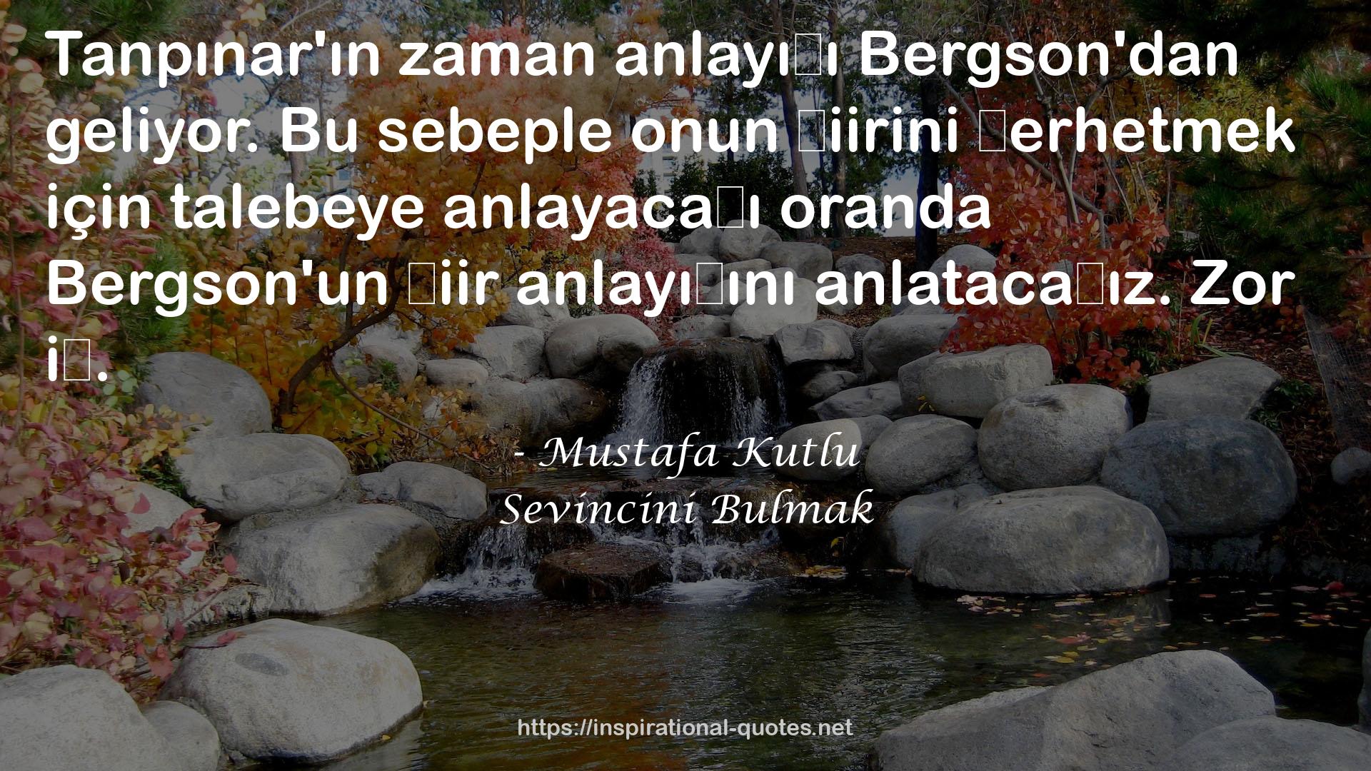 Sevincini Bulmak QUOTES