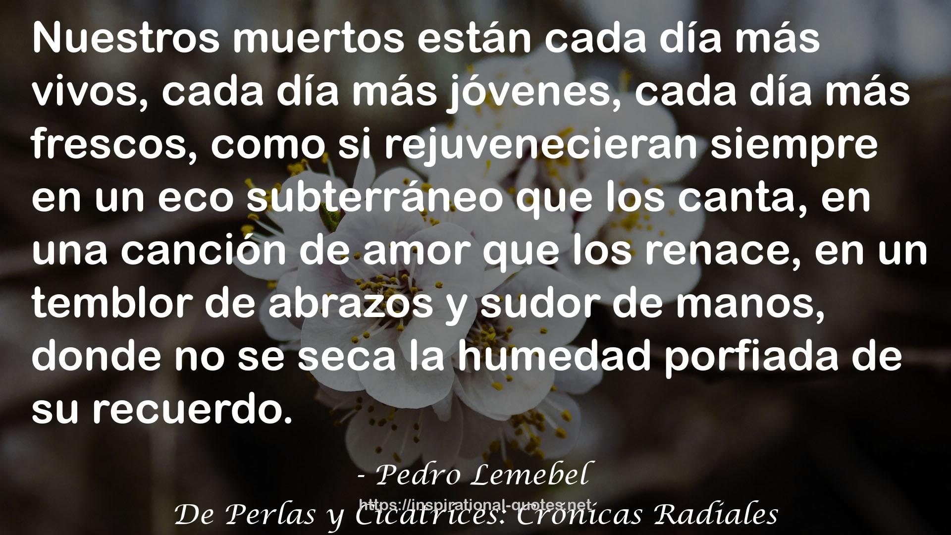 De Perlas y Cicatrices: Crónicas Radiales QUOTES