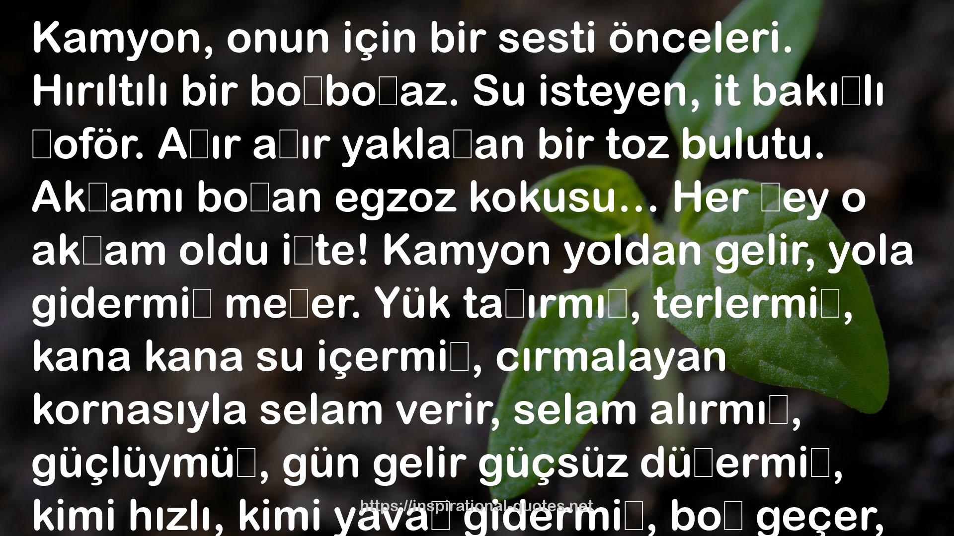 Sandık Lekesi QUOTES