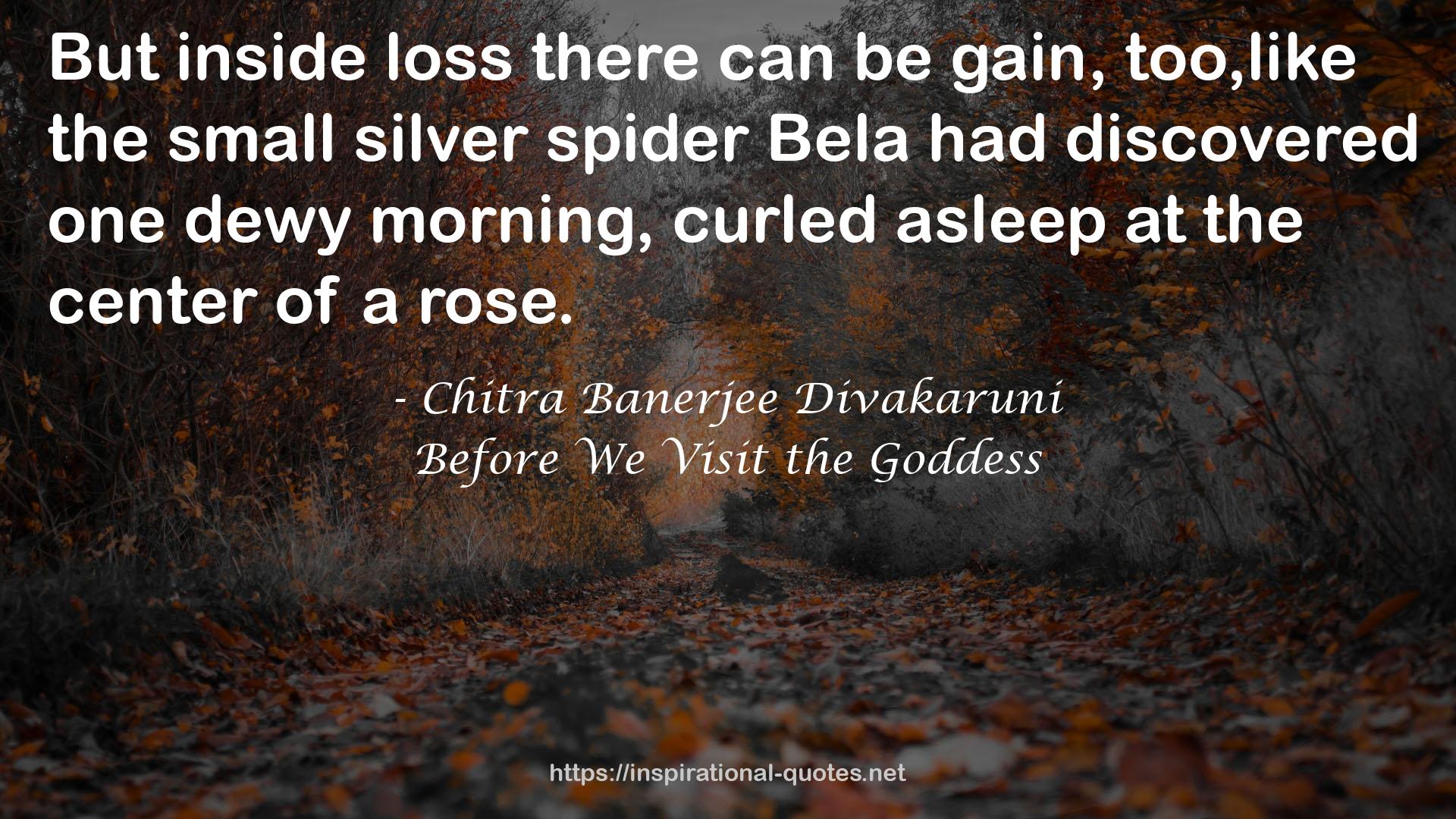 spider Bela  QUOTES