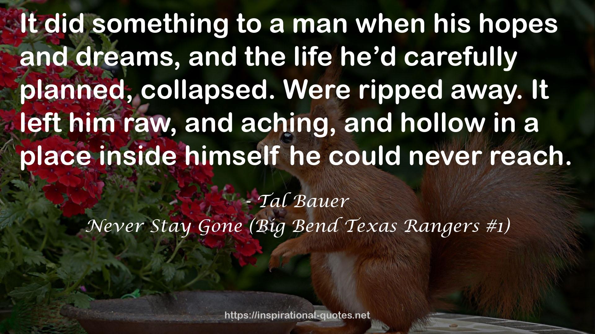 Never Stay Gone (Big Bend Texas Rangers #1) QUOTES