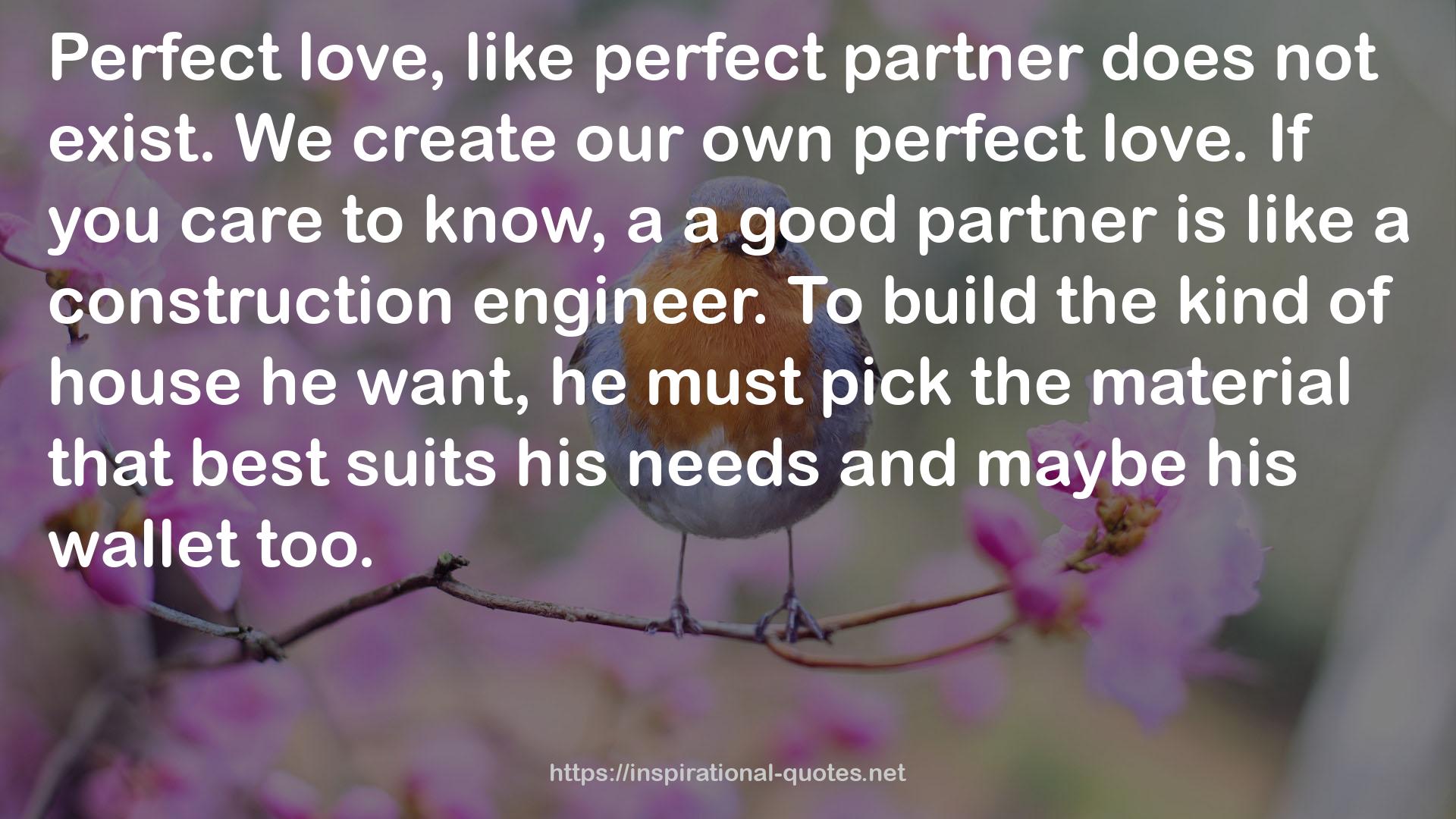 perfect partner  QUOTES