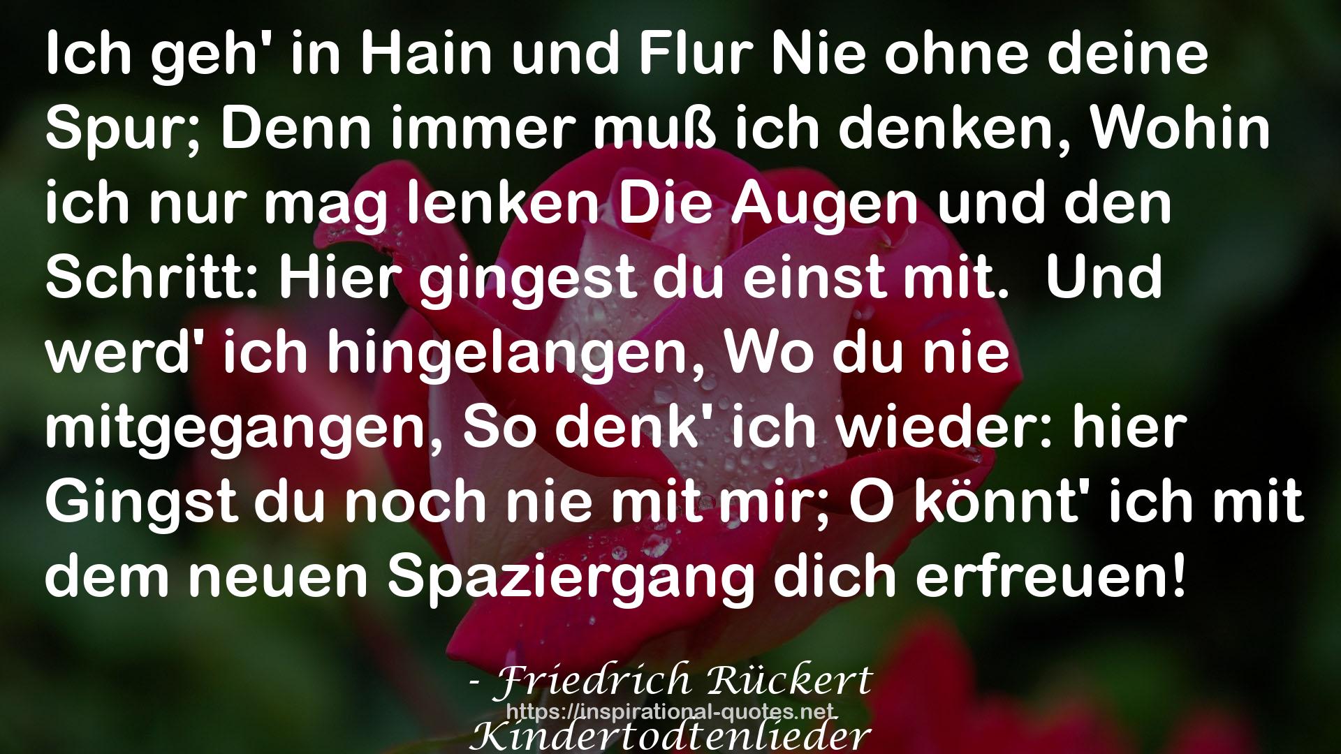 Kindertodtenlieder QUOTES