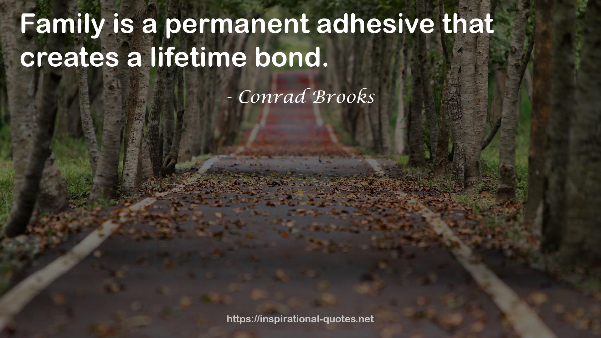 Conrad Brooks QUOTES