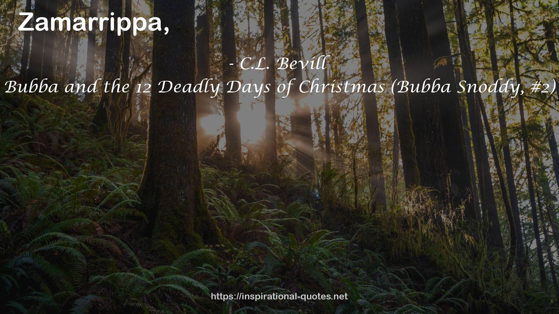 Bubba and the 12 Deadly Days of Christmas (Bubba Snoddy, #2) QUOTES